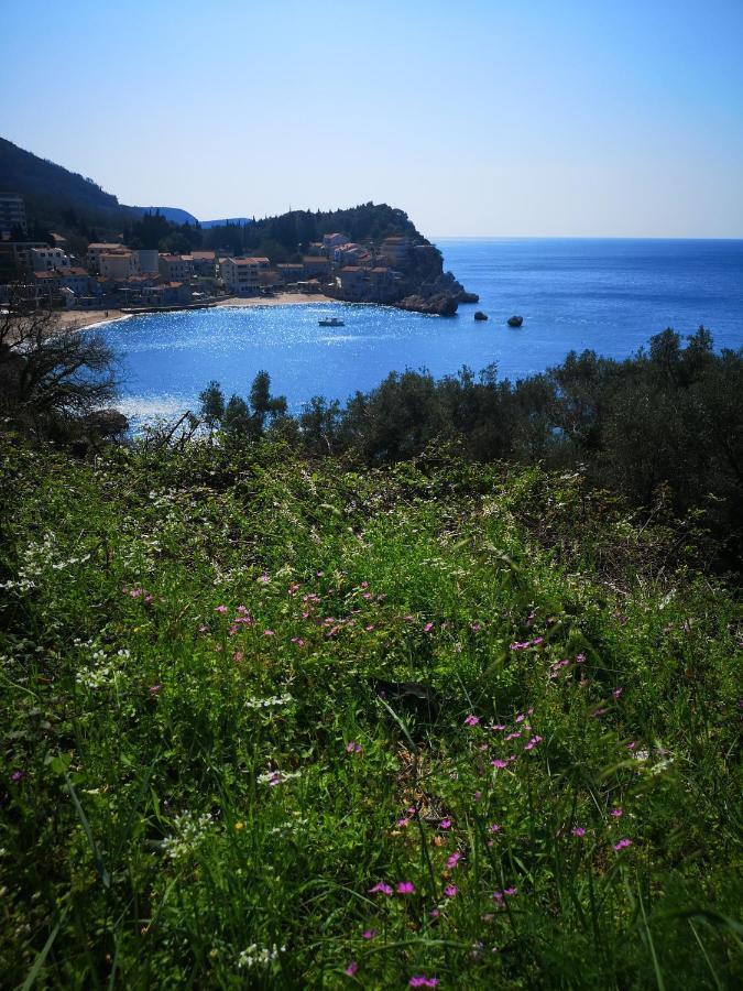 Langust - Free Parking Apartment Sveti Stefan Exterior photo